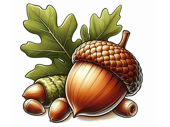 Oak Nut Icon Cartoon: A Practical Guide to Nature-Themed Visual Design