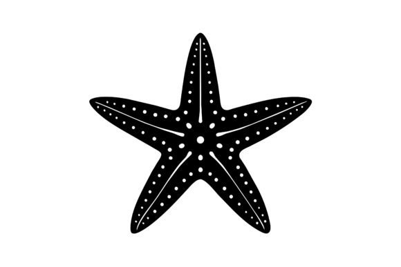 The Star Fish Paradigm: Navigating Decentralized Growth in a Complex Economy